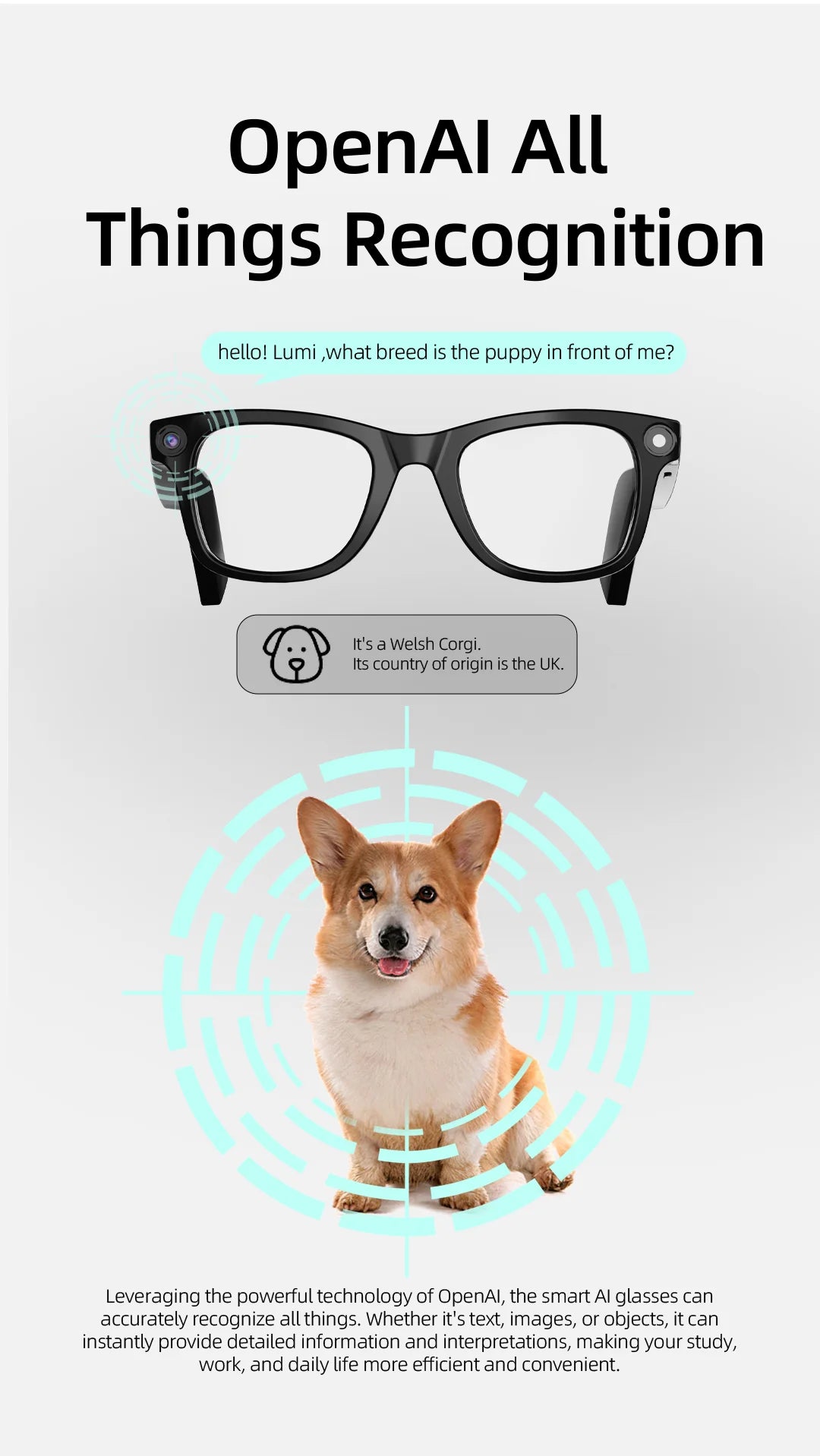 AI Eyeglasses Video Voice Call Noise Cancellation Wireless Bluetooth Headset HD Anti-Shake Camera Contact Glasses Goggles